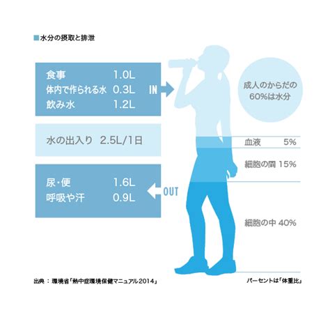 水重要性|水の重要性：実際にどのくらい必要なのか